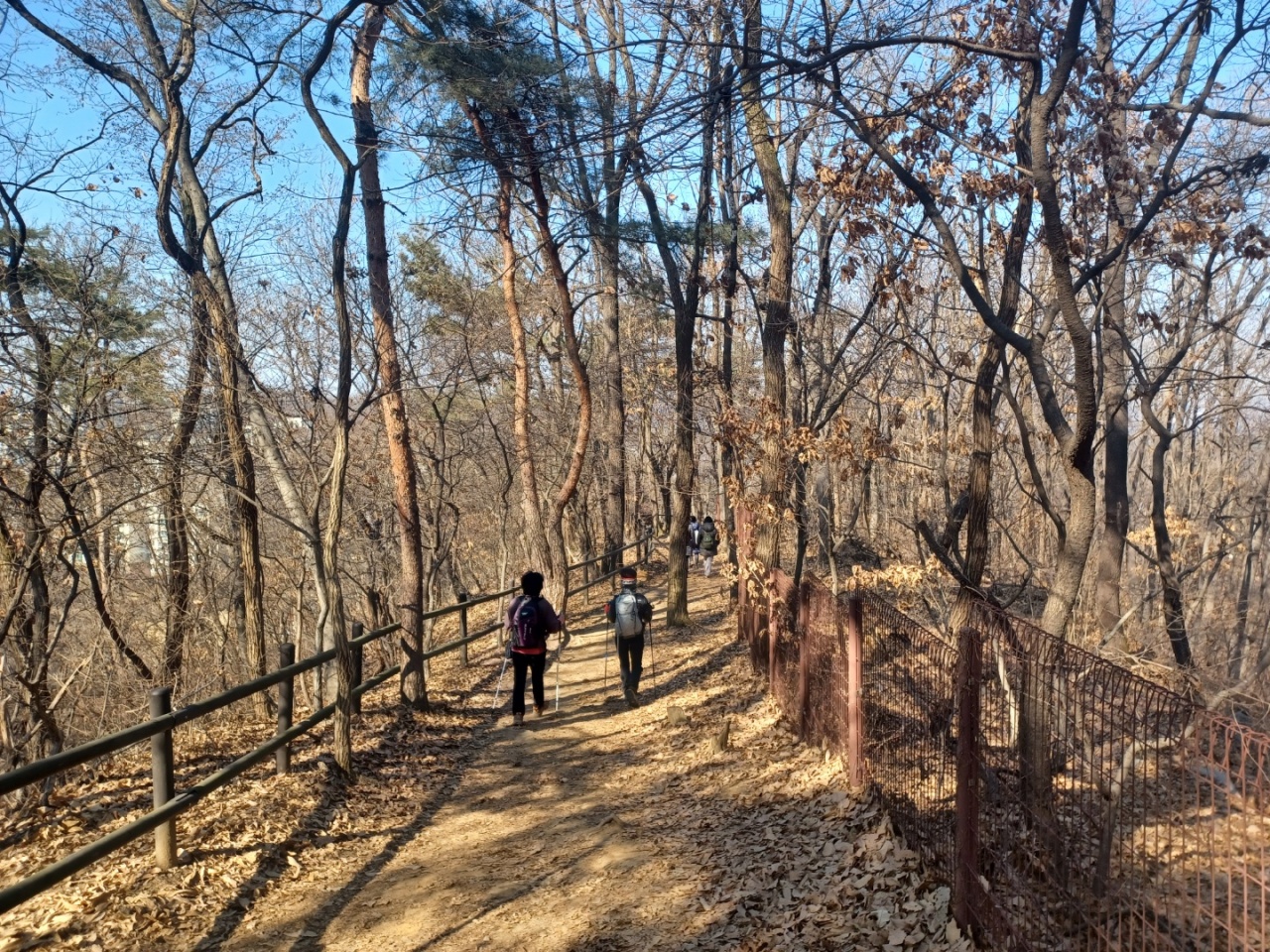 Crisp leaves recall a scene of the fall season at Eunpyeong Trail’s forested path. (Lee Si-jin/The Korea Herald)