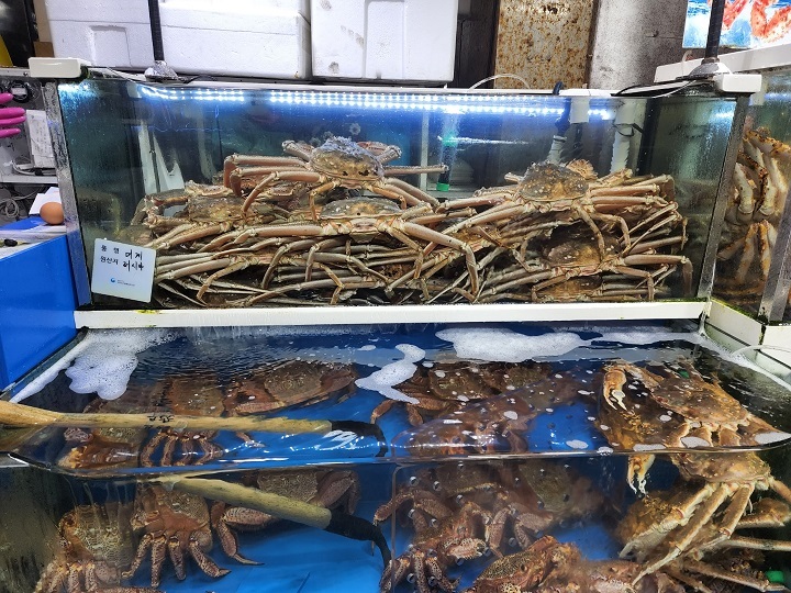 Crabs sit ready for sale in a water tank at the Noryangjin Fisheries Wholesale Market in Seoul. (Choi Jae-hee/The Korea Herald)