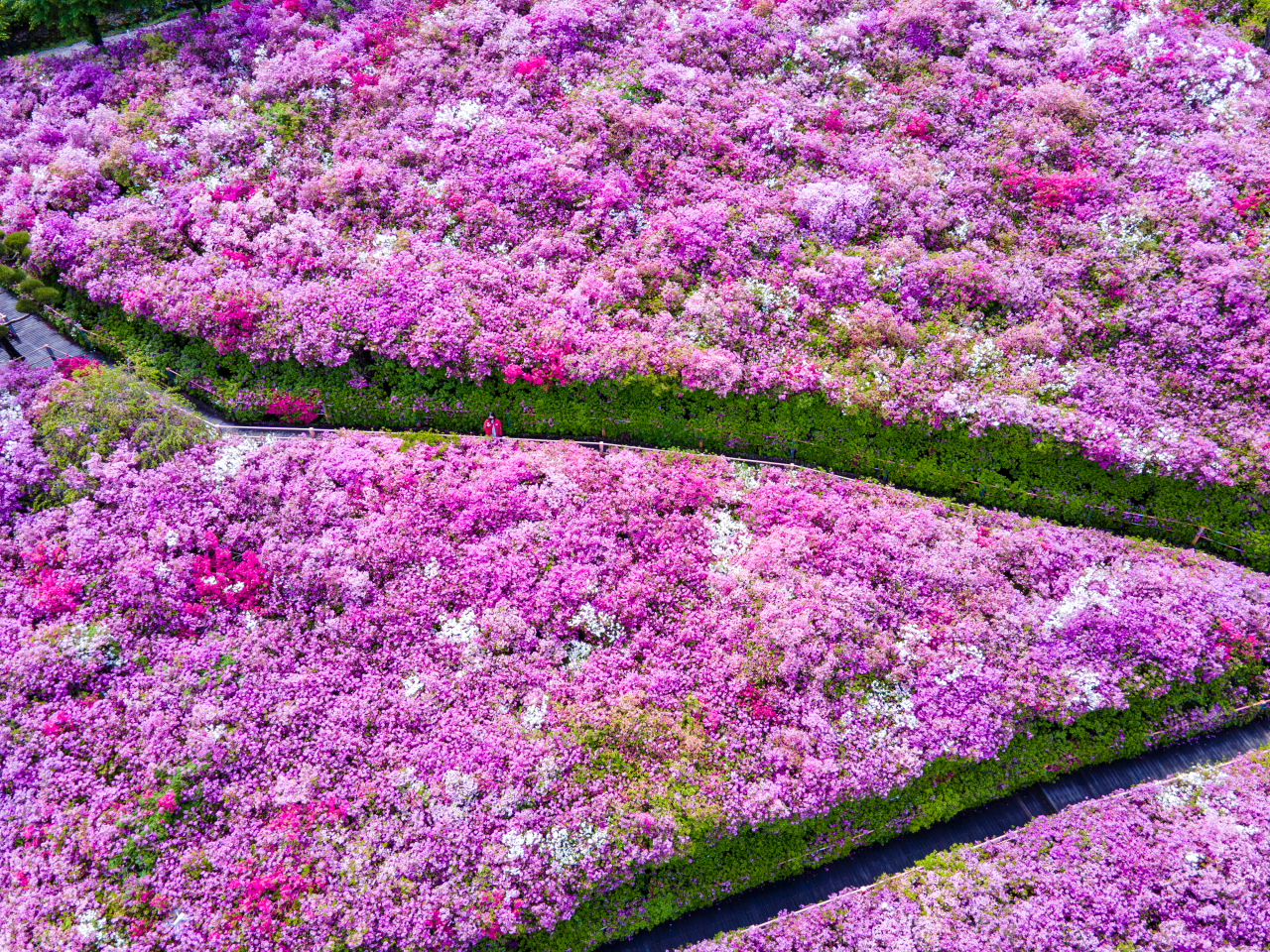 Hwasan Flower Garden (Wanju)