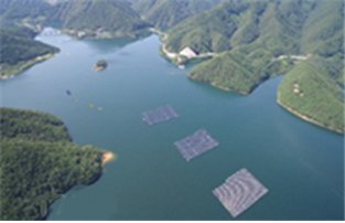 Floating Solar Panels (Ministry of Envrionment)