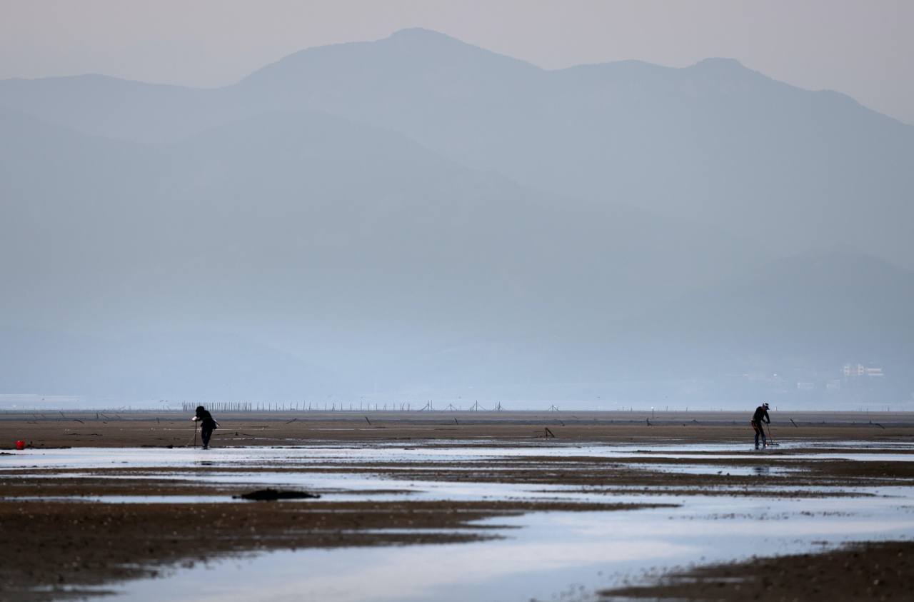 Farmers work on the Gaocheang getbol, which is a treasure trove of diverse seafood-sustaining ecosystems in Gaocheang, North Jeolla Province. Photo © Hyungwon Kang