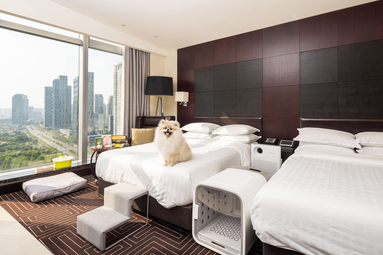 Sheraton Grand Incheon Hotel has launched a package “Sheraton Petcance” for those who want to spend summer vacation at the hotel with their dogs. (Sheraton Grand Incheon Hotel)