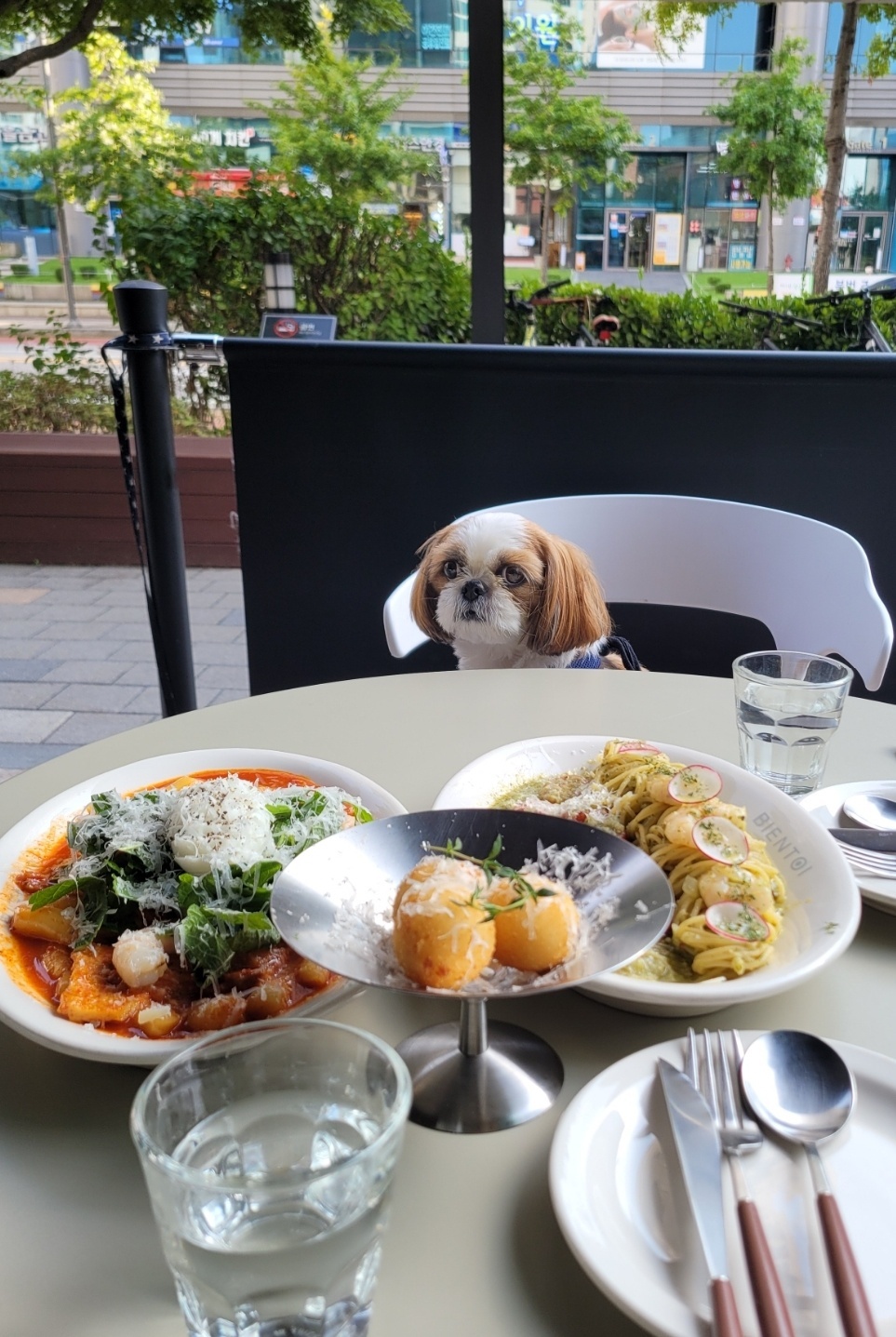 A Shih Tzu sits with its owners outside Bientoi, a brunch restaurant in Pangyo, Gyeonggi Province, on June 17. (Park Yuna/The Korea Herald)