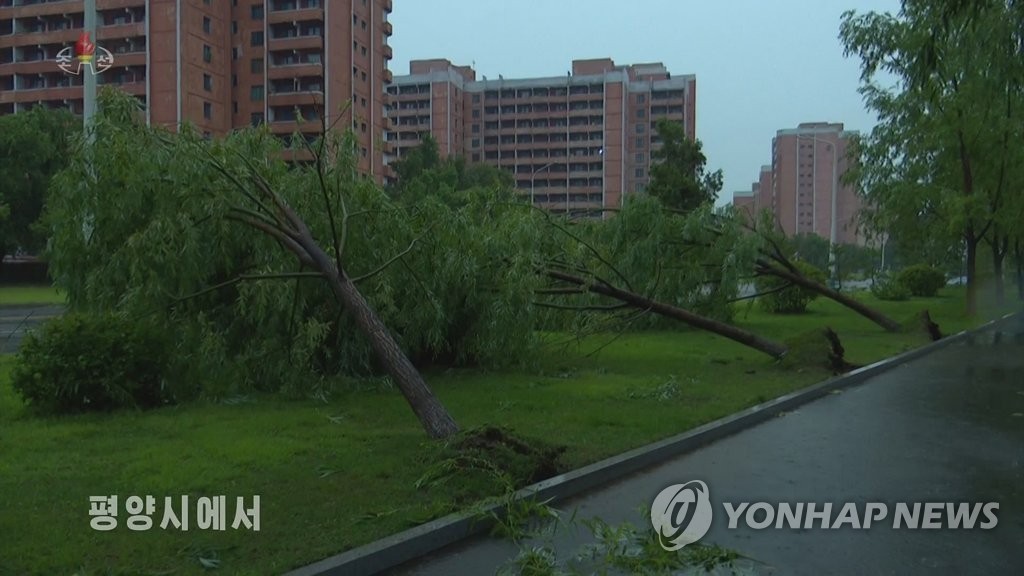 Trees are uprooted by heavy rain and strong winds in North Korea‘s capital city of Pyongyang, in this footage captured from the Korean Central Television on June 26. (Yonhap)