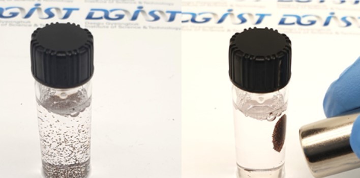 Biodegradable microrobots (right) react to external magnetic pull. (Daegu Gyeongbuk Institute of Science and Technology)