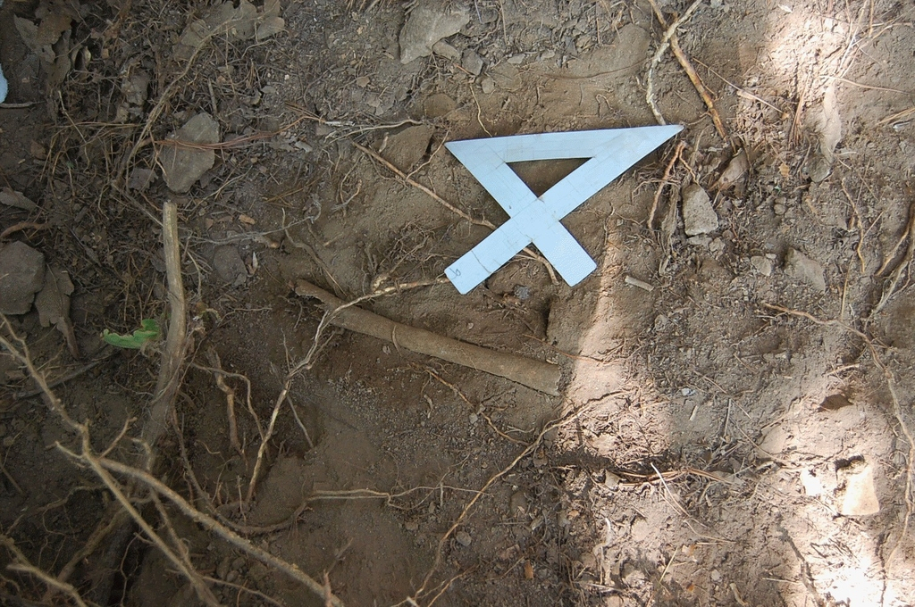This image provided by the Ministry of National Defense on Thursday, shows the excavation site of the remains of Pfc. Yoon Eui-saeng, who died during the 1950-53 Korean War. (Ministry of National Defense)