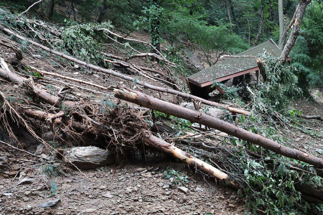 The hiking trail in Umyeonsan, Seocho-gu, Seoul, is blocked Wednesday by collapsed wooden bridges and fallen trees after heavy rain. (Yonhap)