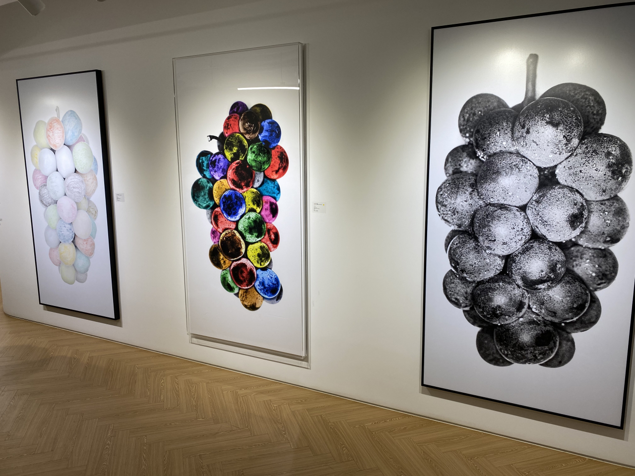 Display of grape-themed works by photographer and painter Koh Yeo-myoung at exhibition 