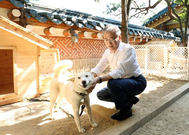 Former President Moon Jae-in with his Pungsan dog Songang. (Herald DB)