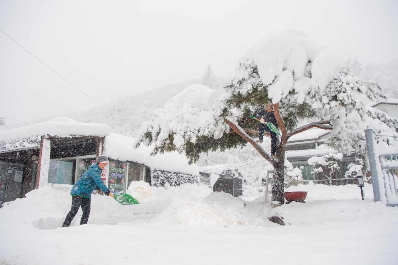 A man sweeps snow in front of a house at Goseung-gun, Gangwon Province on Sunday. (Yonhap)