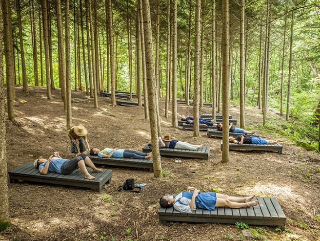 People lie down on the ground in Seoul Grand Park’s Healing Forest, enjoying nature. (Seoul Metropolitan Government)
