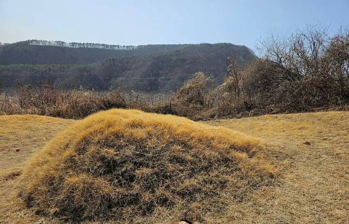 A photo of the grave mound with holes dug around it shared by Lee Jae-myung on Sunday. (Lee Jae-myung's Facebook account)
