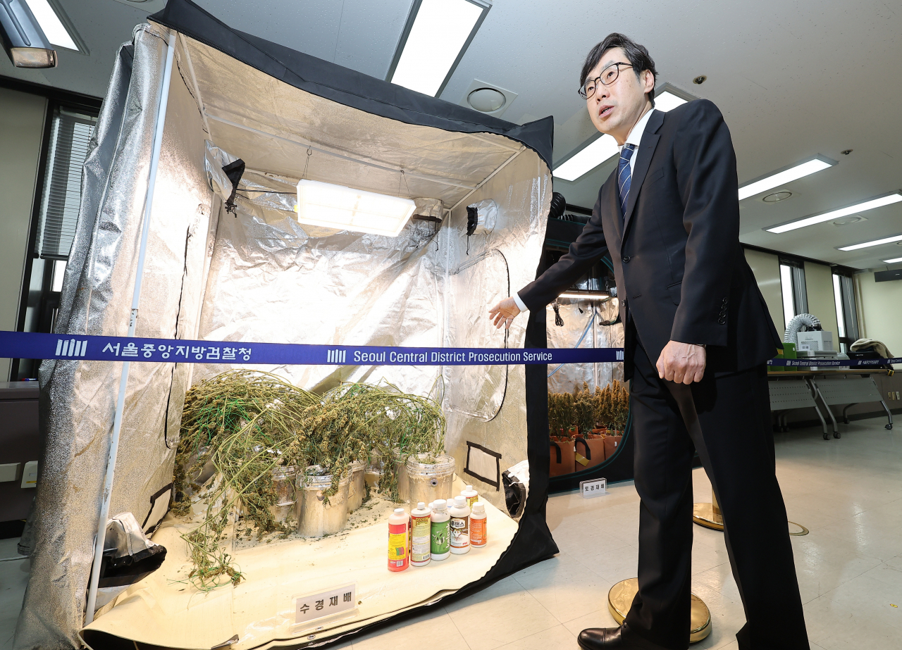 The Seoul Central District Prosecutors' Office exhibits the confiscated cannabis in a press briefing at its headquarters in southern Seoul on Thursday. (Yonhap)