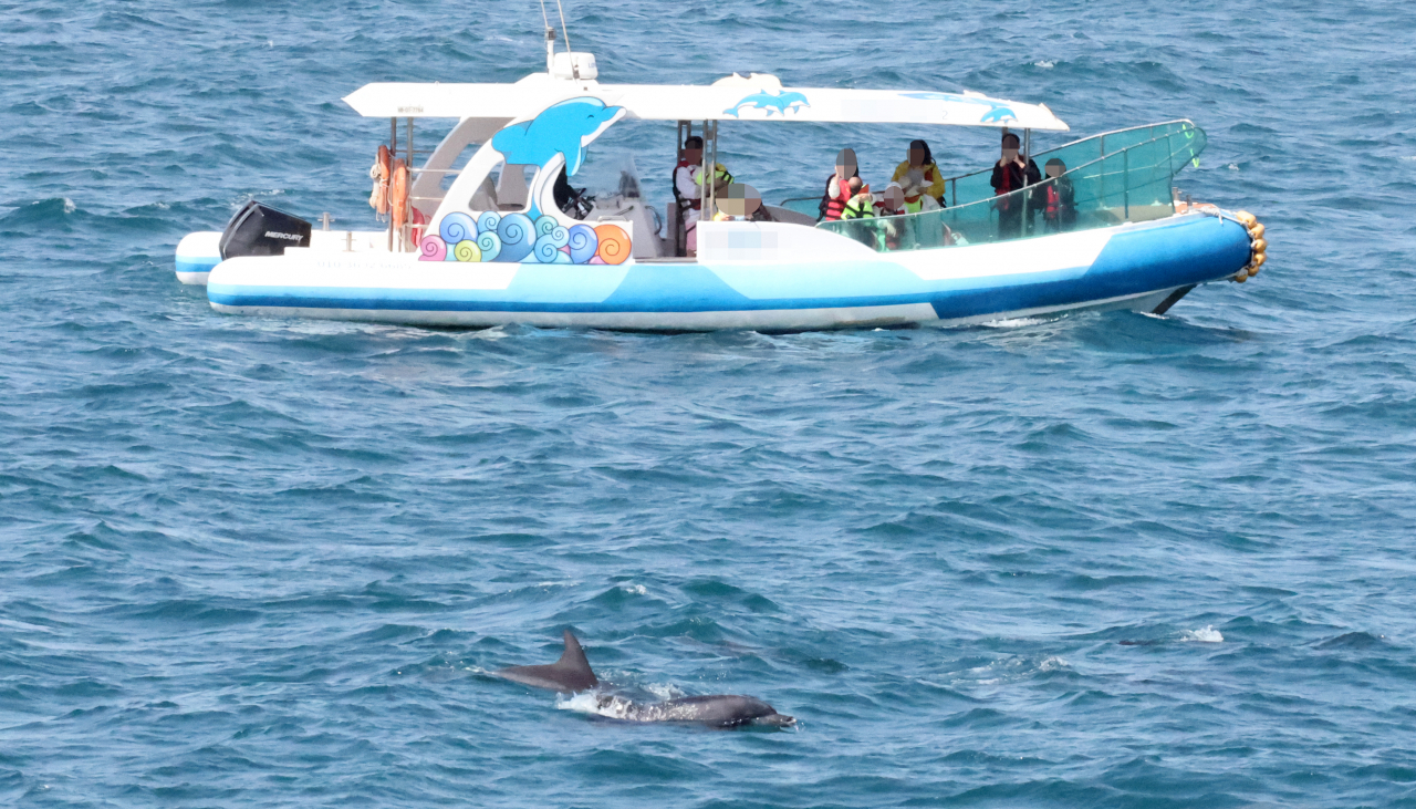 Tourists observe a herd of dolphins from a boat nearby in Jeju Island on Monday. (Yonhap)