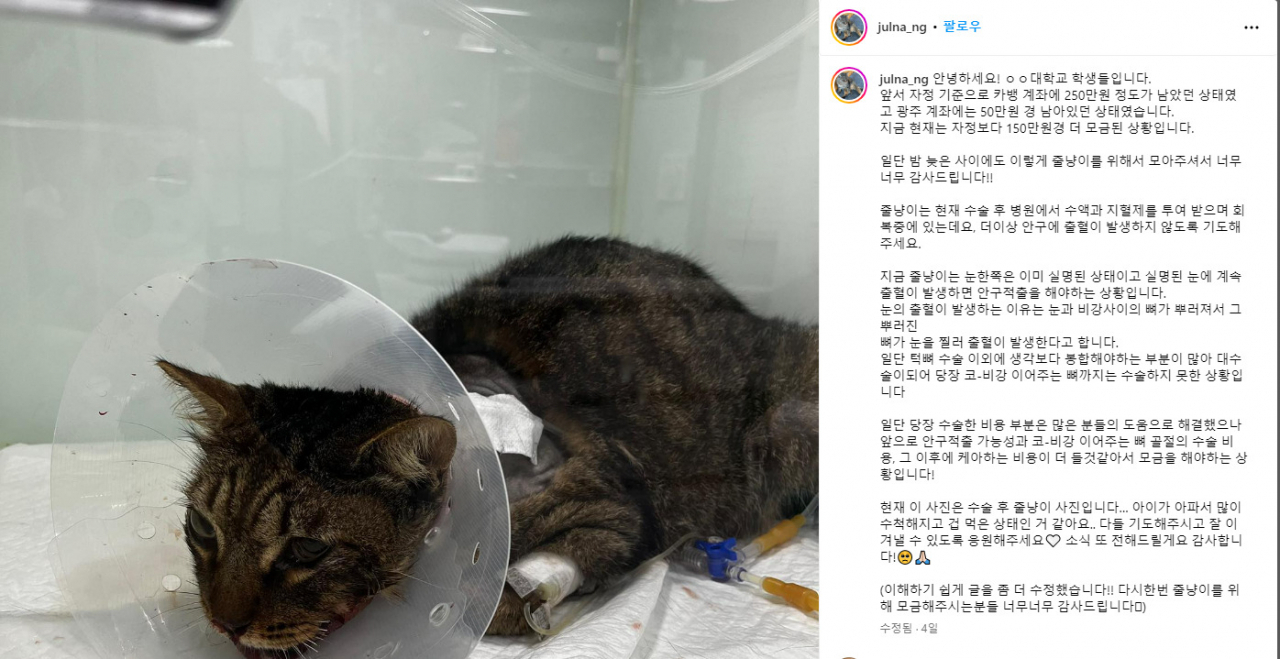 A screenshot of an Instagram post showing Jullyang-i in recovery (Jullyang-i's official Instagram account)
