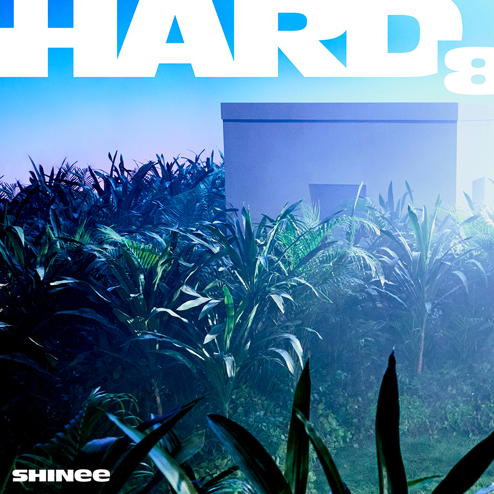 SHINee to drop 8th studio album 