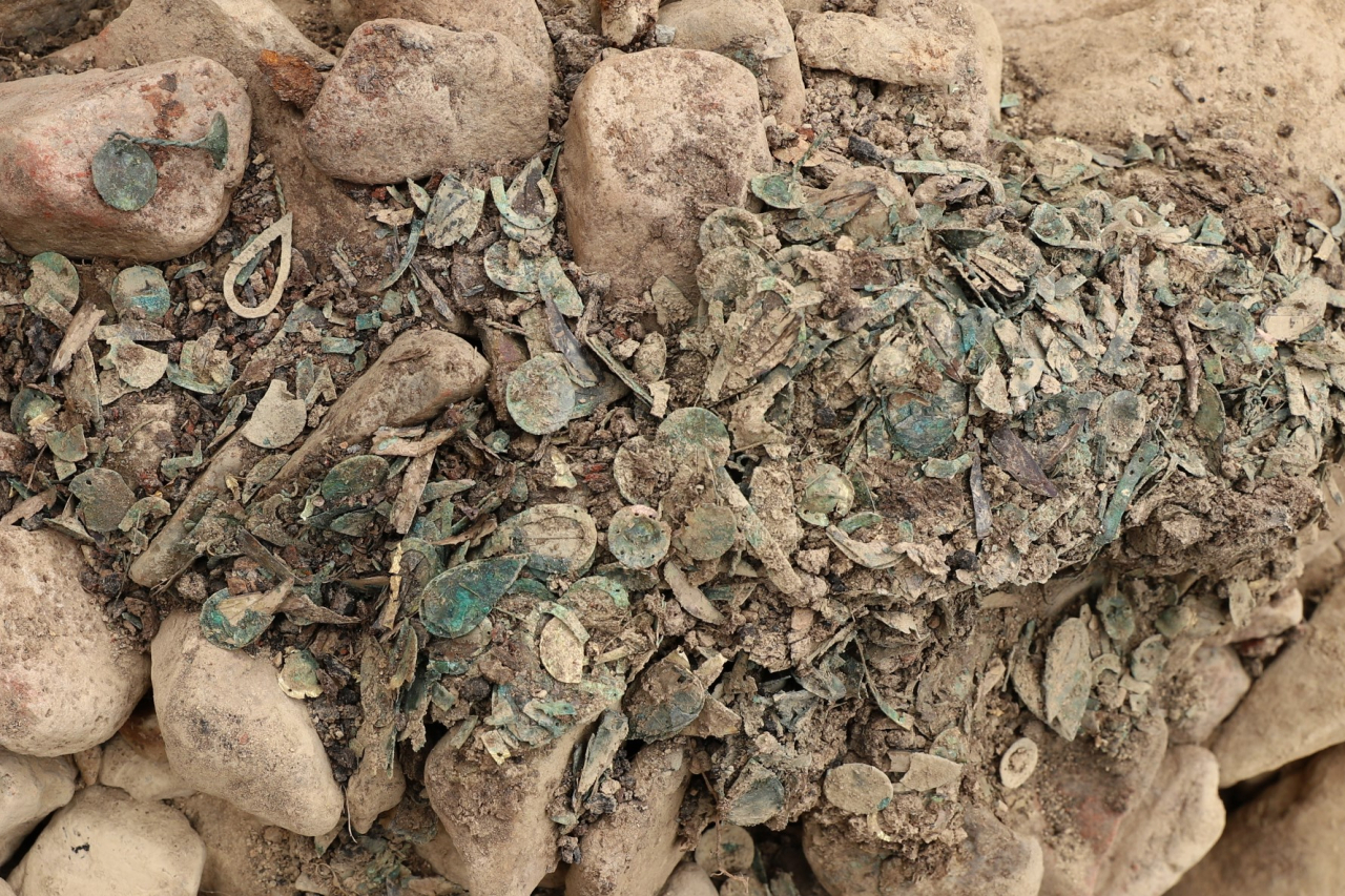 Flower petals and jewel beetles of a fabric mudguard are discovered at Jjoksaem Tomb No. 44. (CHA)