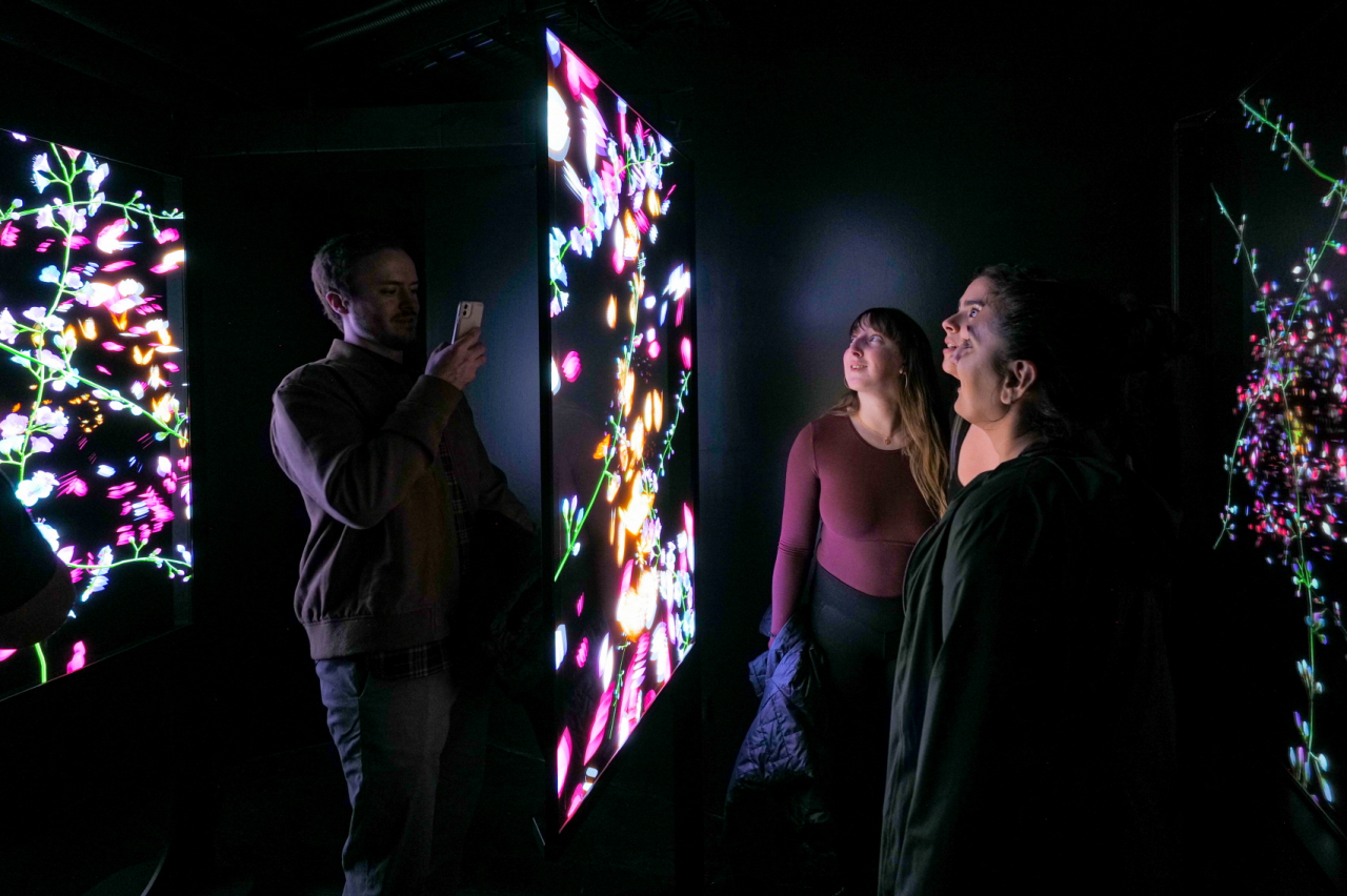 Visitors to an exhibition at Artechhouse in Washington look at LG’s transparent OLED panels which mirror their movements using flower stems. (LG Display)