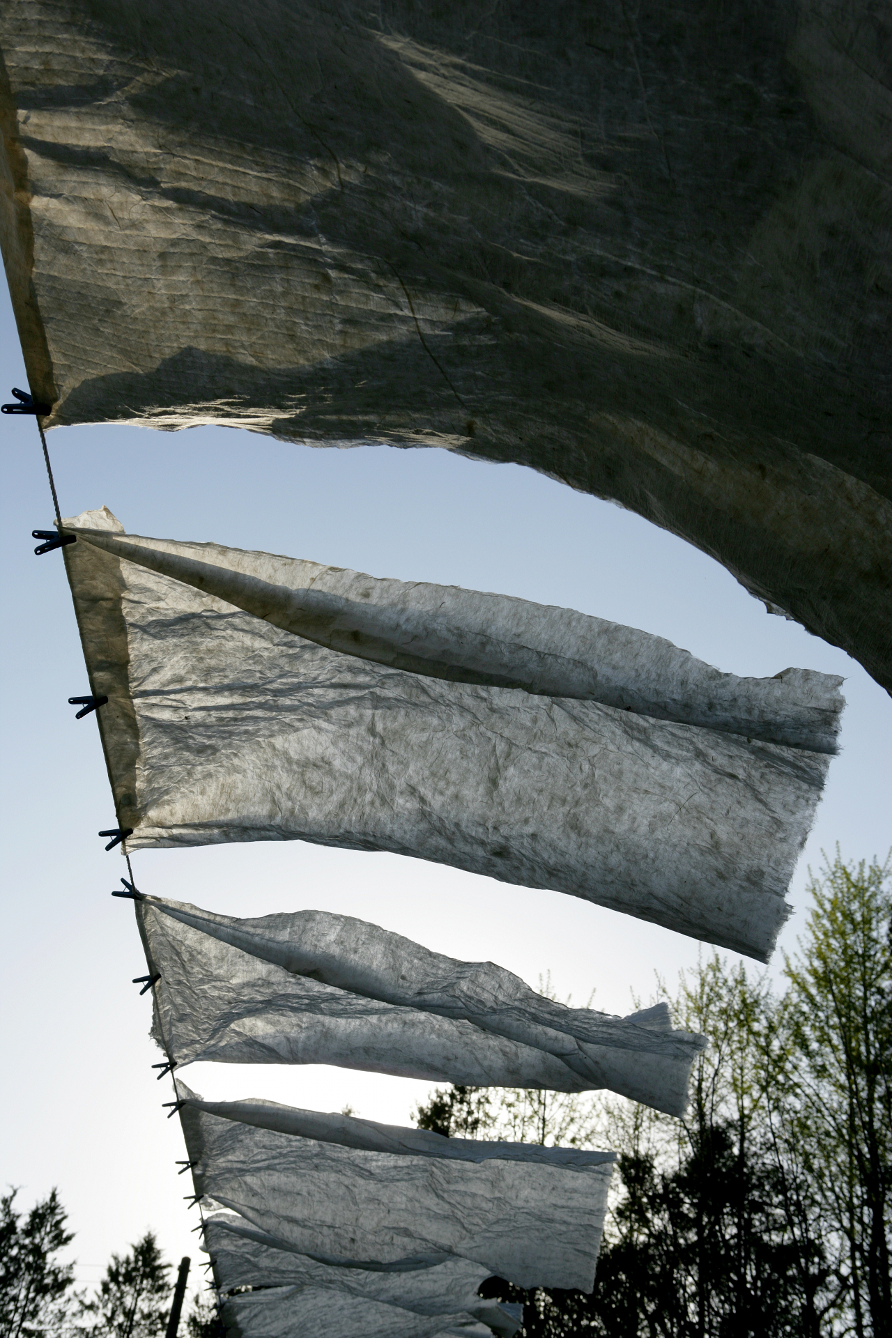 Sheets of hanji are hung outdoors to dry. (CHA)