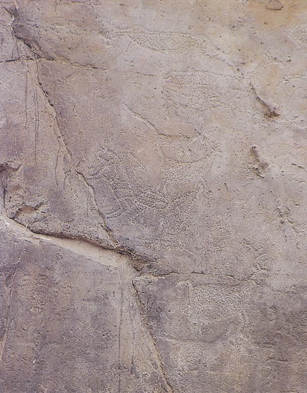 A petroglyph in Daegok-ri, Ulsan (CHA)