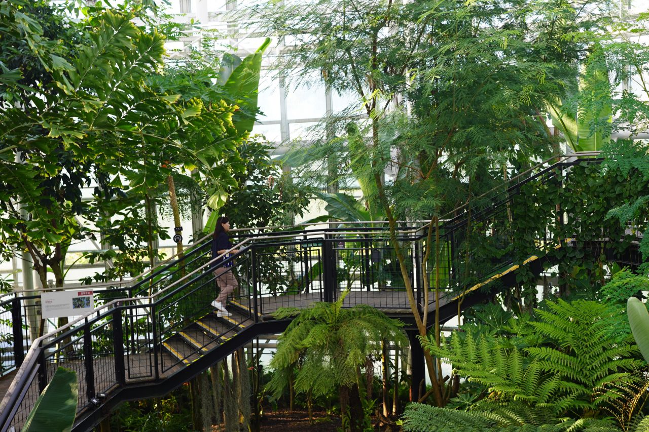 A visitor climbs the stairs at the tropical greenhouse at Sejong National Arboretum on Sept. 8. (Lee Si-jin/The Korea Herald)