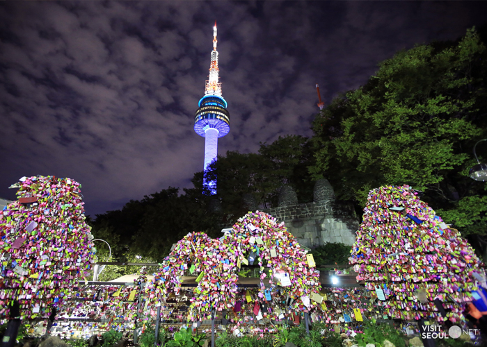Night view of the N Seoul Tower from Namsan Park (Seoul Tourism Organization)