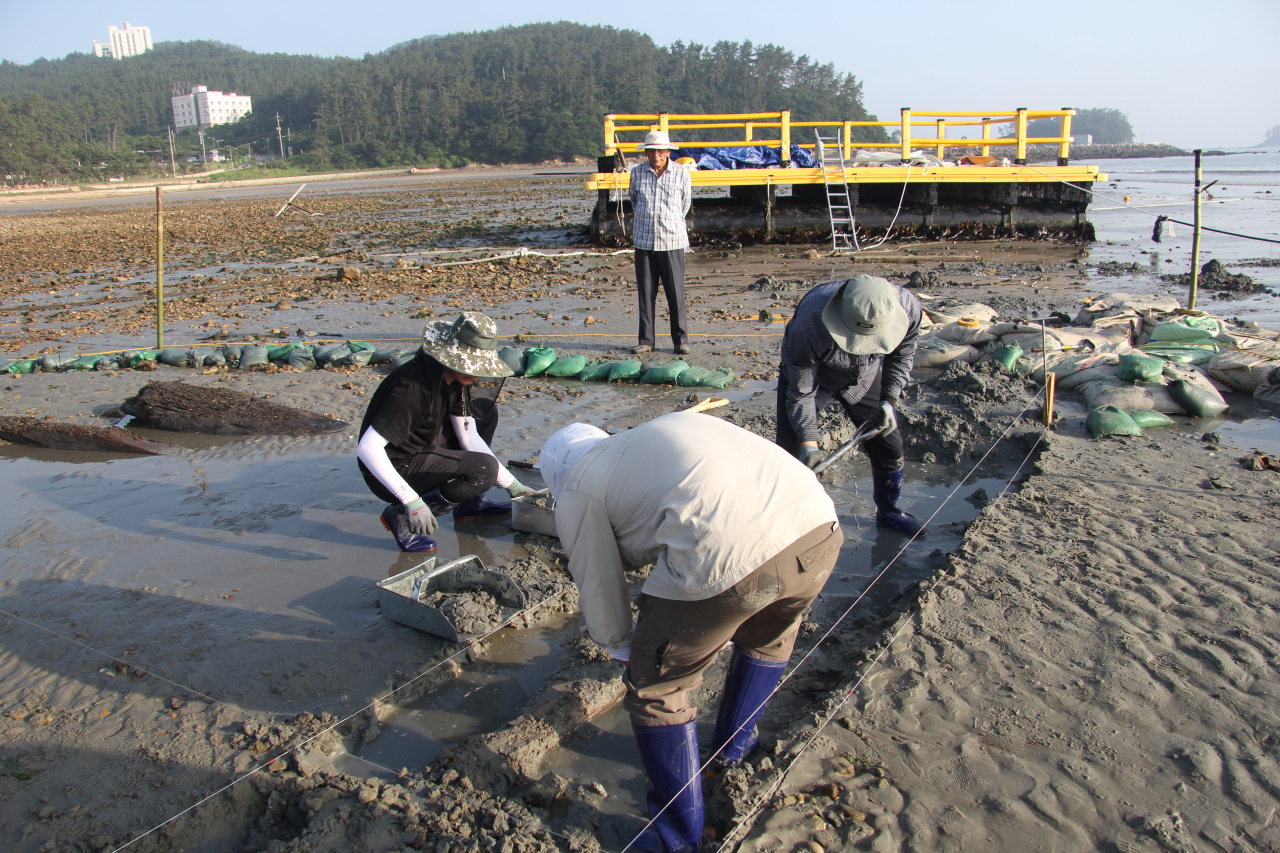 Experts examine a shipwreck and its artifacts in Haenam, South Jeolla Province, in June. (CHA)