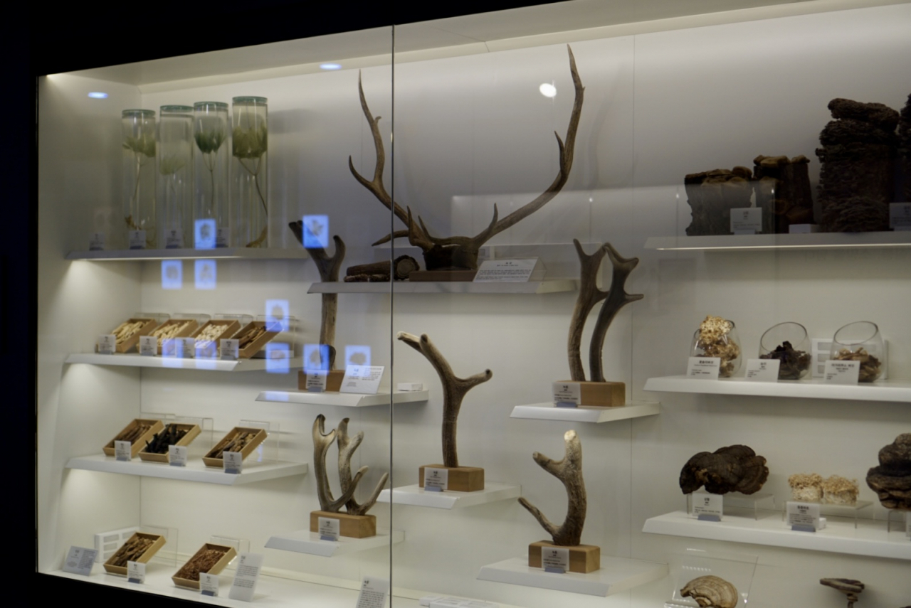 Various deer antlers and mushrooms are on display at the Herb Medicine Museum in Jegi-dong, Dongdaemun-gu, Seoul. (No Kyung-min/The Korea Herald)