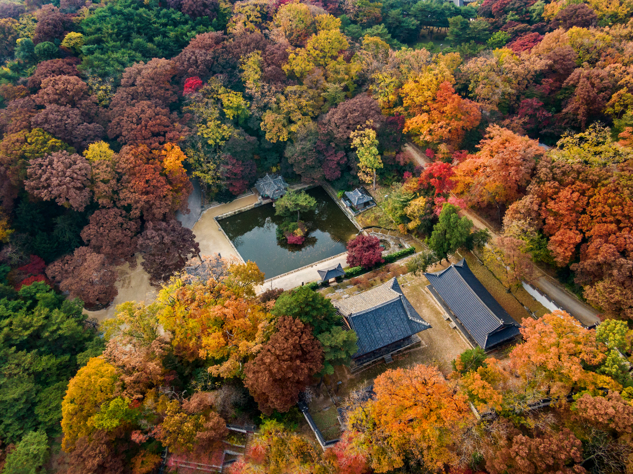 Aerial view of Changdeokgung garden in the fall season (CHA)