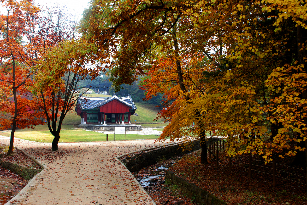 Trail of Samneung in Yeoju, Gyeonggi Province (CHA)