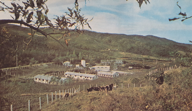 This undated file photo shows the American-Korean Foundation's 4-H Training Farm in Bucheon, Gyeonggi Province, which provided on-site training in agriculture from 1964 through 1979. (Photo provided by Lee Chang-ho)
