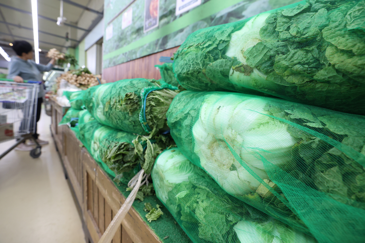 Cabbages, the main ingredient of kimchi, are on display at a local supermarket in Seoul. (Yonhap)