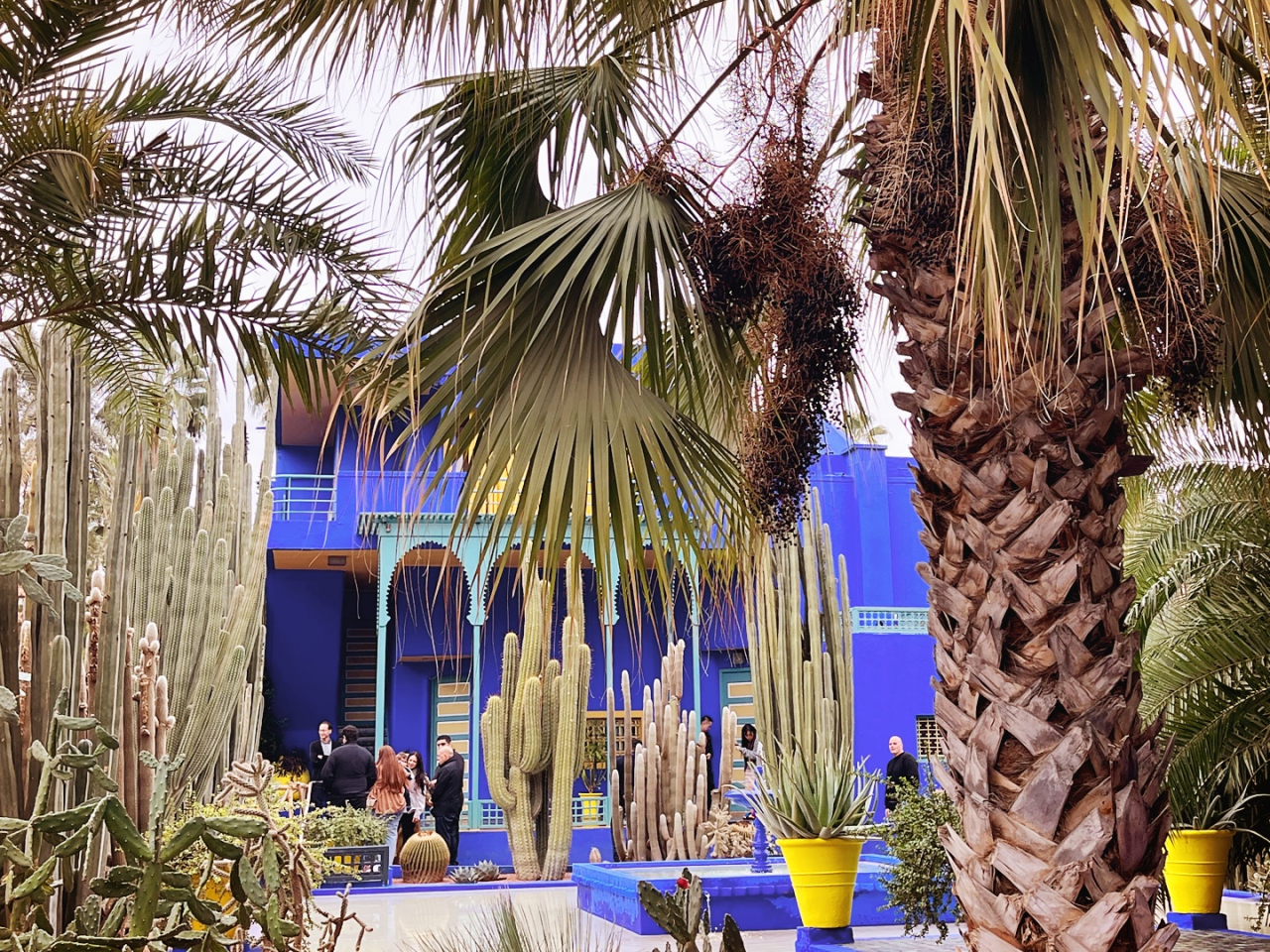 The Majorelle Garden is a one-hectare botanical garden and an artist's landscape garden in Marrakech, Morocco, designed by French artist Jacques Majorelle over 40 years starting in 1923. (Lee Jaeeun/The Korea Herald)