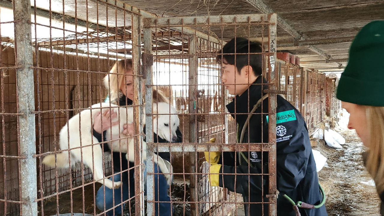 Workers from Humane Society International move a dog from a cage at a dog farm to a mobile kennel in this file photo taken in March 2023. (Lee Jung-youn/The Korea Herald)