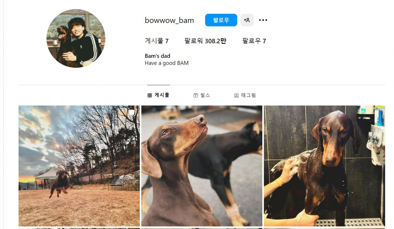 Instagram page for Jungkook's dog Bam (Instagram)