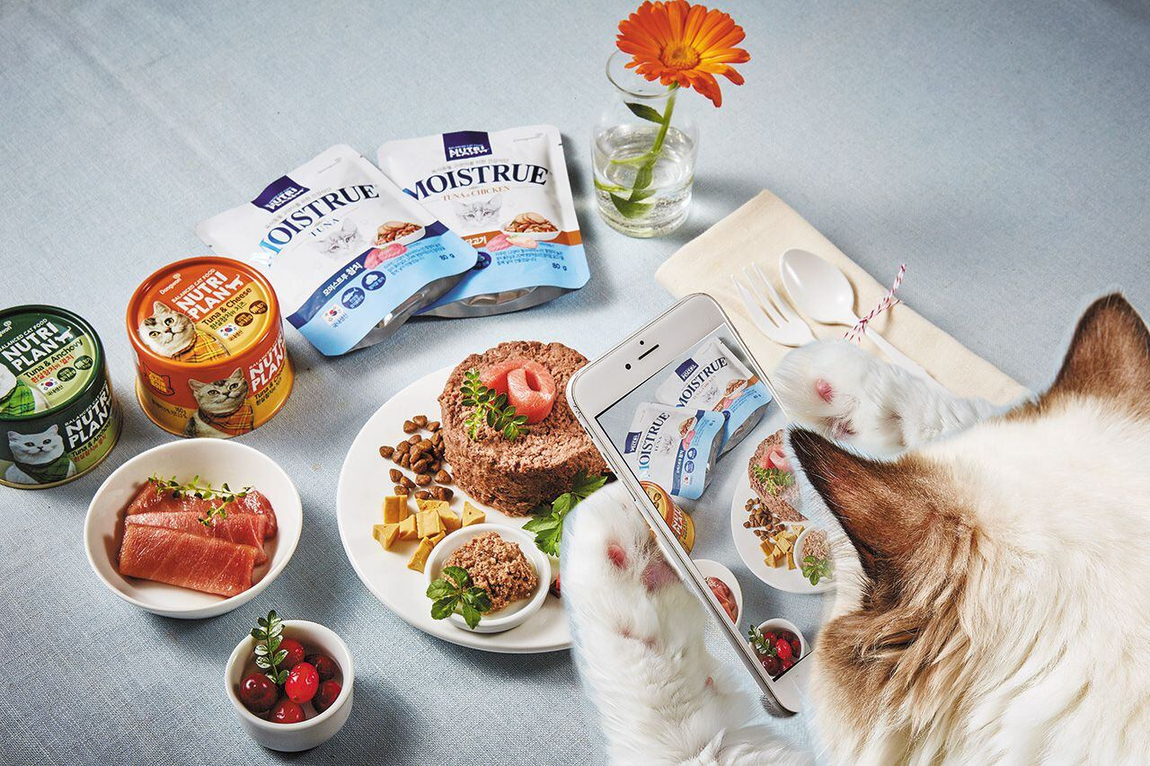 Nutri Plan's promotional poster for its cat food product brand Moistrue (Nutri Plan)