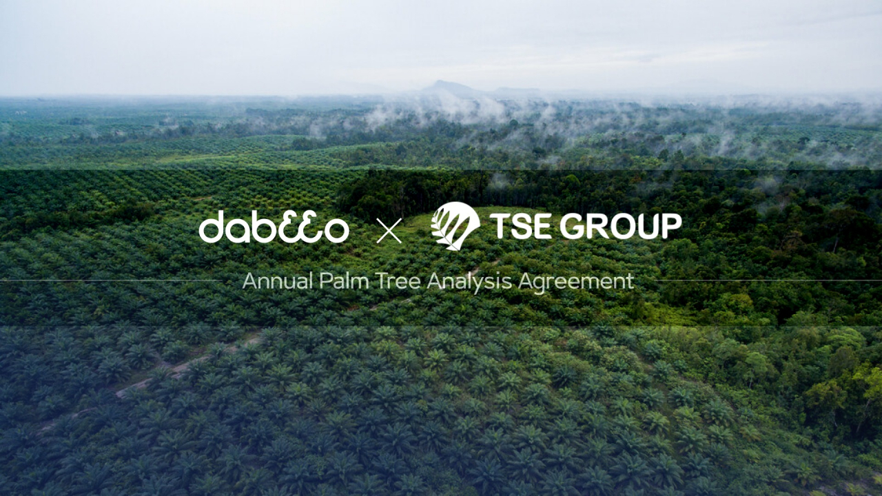 Dabeeo meluncurkan proyek pemantauan AI perkebunan kelapa sawit di Indonesia, yang mencakup wilayah yang lebih luas dari Seoul