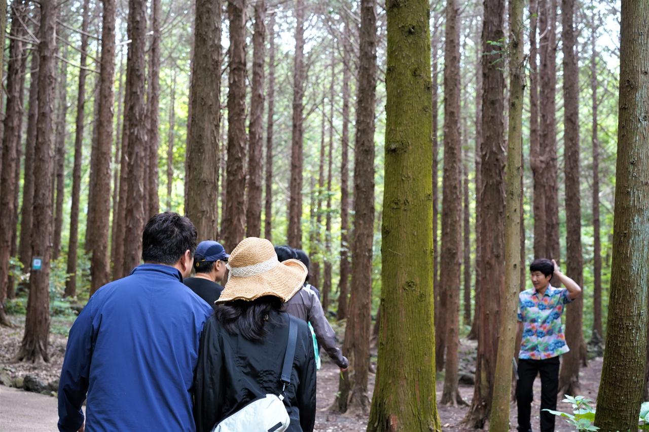 Visitors explore the cypress forest surrounding WE Hotel. (Lee Si-jin/The Korea Herald)