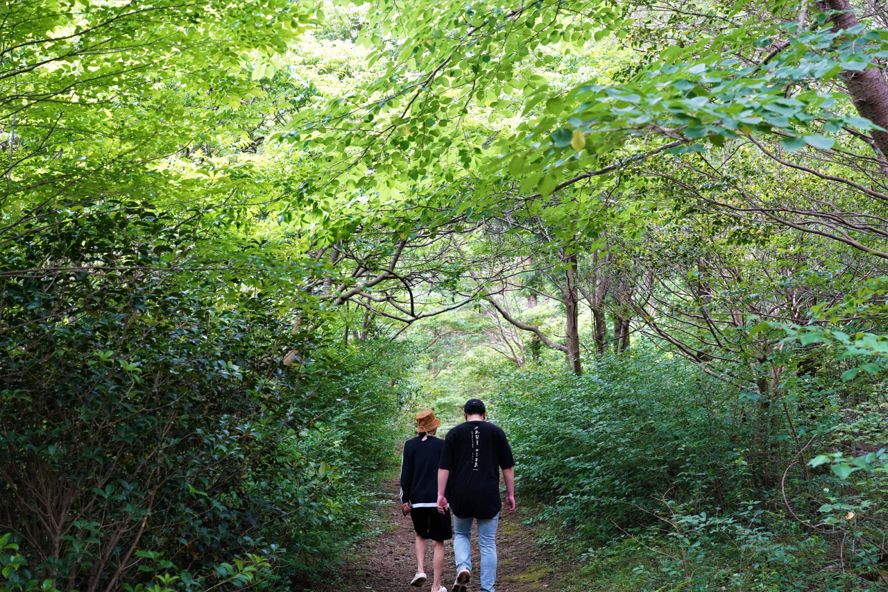 Visitors walk along the trail in Dorae Forest, next to WE Hotel, on May 22. (Lee Si-jin/The Korea Herald)