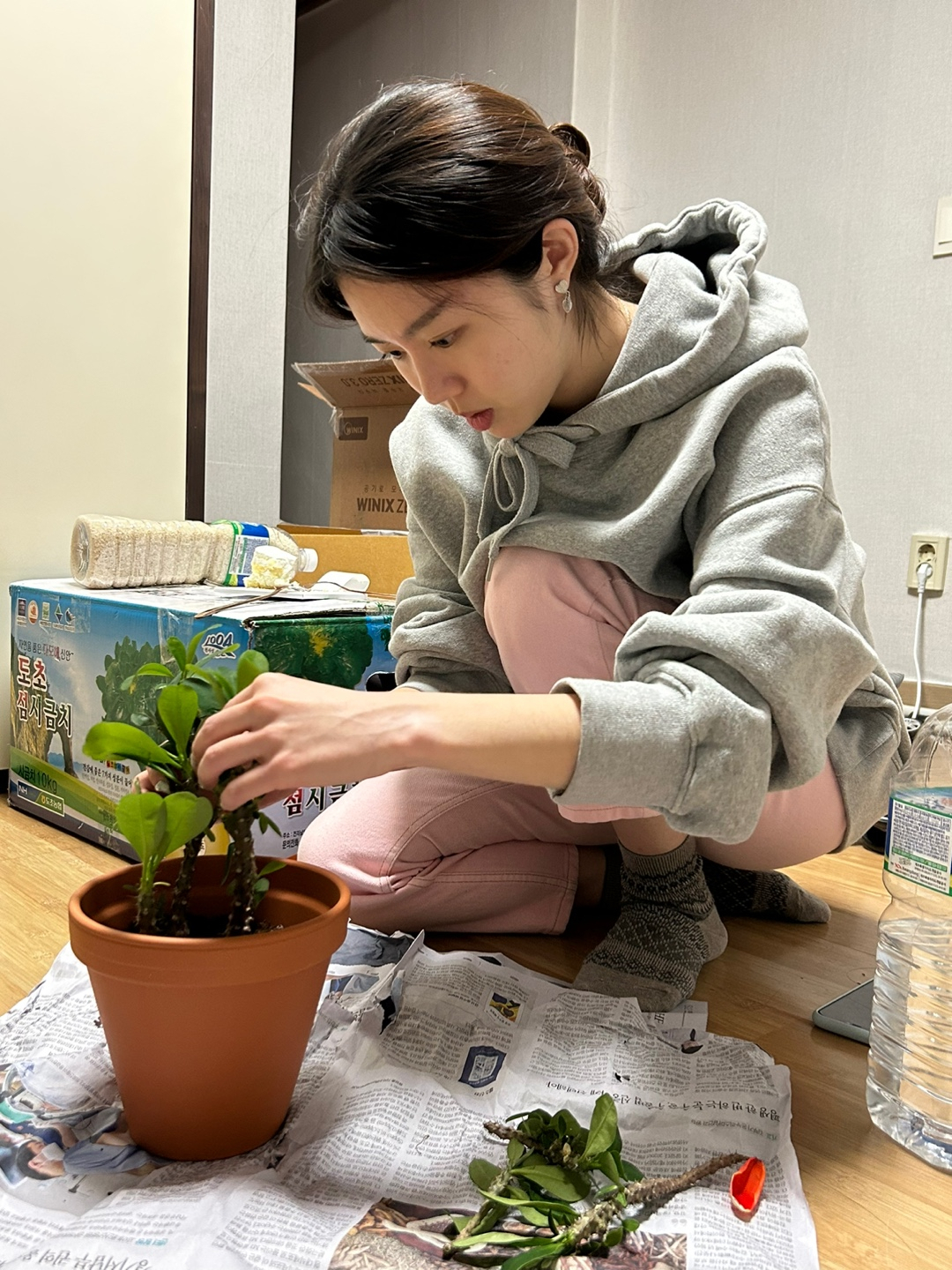 Lee Won-young repots her plant. Repotting is one of Lee's favorite gardening activities, as she can do it without much thinking. (Courtesy of Lee Won-young)
