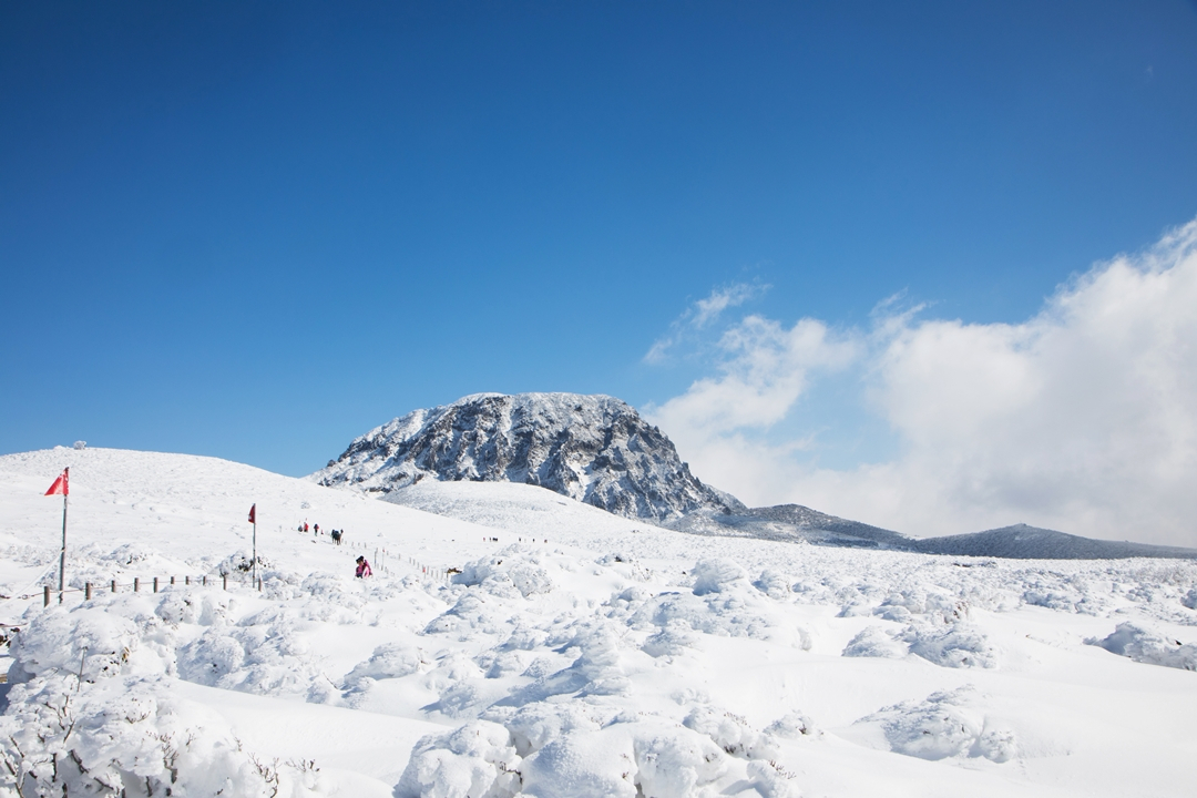 Jeju’s winter charms beckon travelers