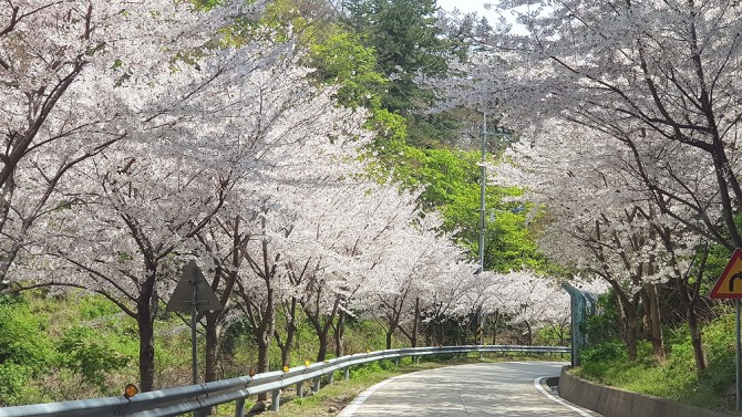 이미지중앙