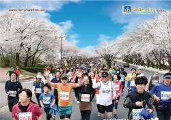'제25회 경주벚꽃마라톤대회' 4월9일 힘찬 레이스