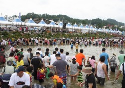 봉화군 지역 대표축제 은어,송이 축제 일정 확정