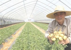 예천에서 남미의 산삼 ‘마카’를 만나다