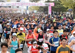 경주시, '제25회 경주벚꽃마라톤 대회' 성료