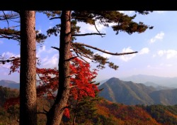 아름 다운 봉화 앵글에 담으세요.