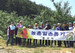 사랑나눔, 행복 채움 봉화군청 공무원 농촌일손돕기 구슬땀