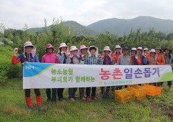 울산 농소농협, 여성조직과 함께 농촌일손돕기 나서