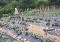 경주시, '야생동물 농작물 피해 방지단' 운영